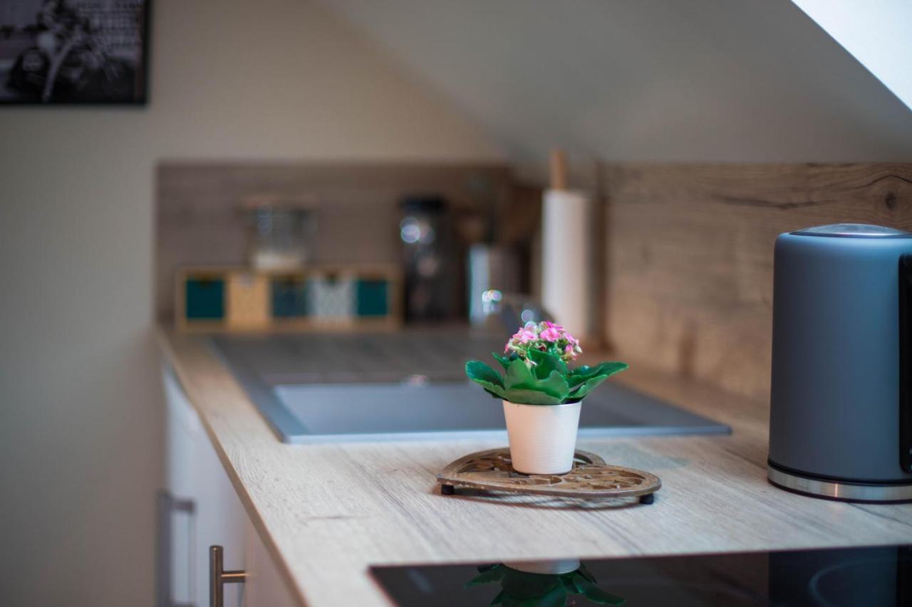 Bed and Breakfast La Maison D'Elise Dollon Екстер'єр фото